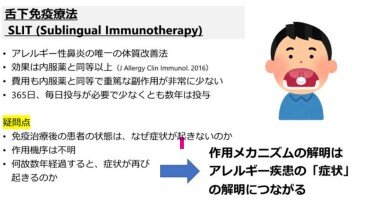 舌下免疫療法-千葉大学